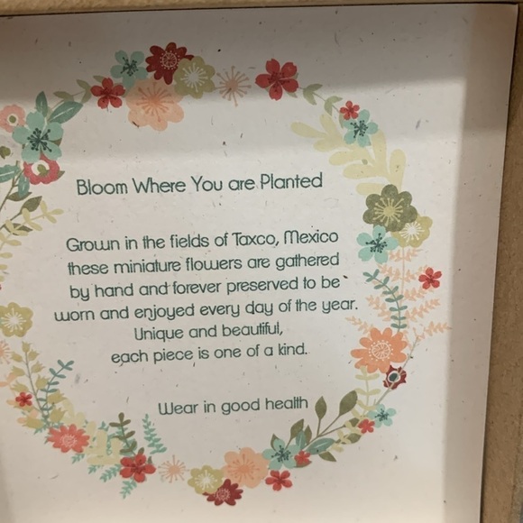 GIANI BERNINI Everlasting Flowers Sterling Silver NIB Dried Flower Earrings - Picture 3 of 8